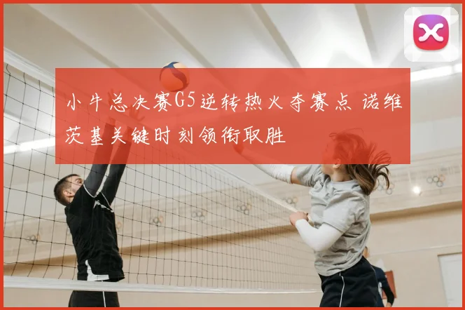 小牛总决赛G5逆转热火夺赛点 诺维茨基关键时刻领衔取胜
