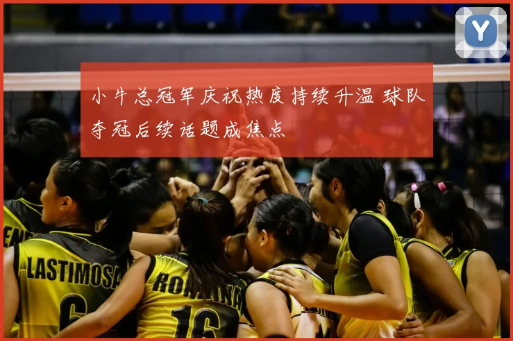 小牛总冠军庆祝热度持续升温 球队夺冠后续话题成焦点