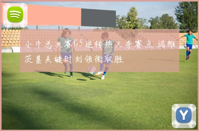 小牛总决赛G5逆转热火夺赛点 诺维茨基关键时刻领衔取胜