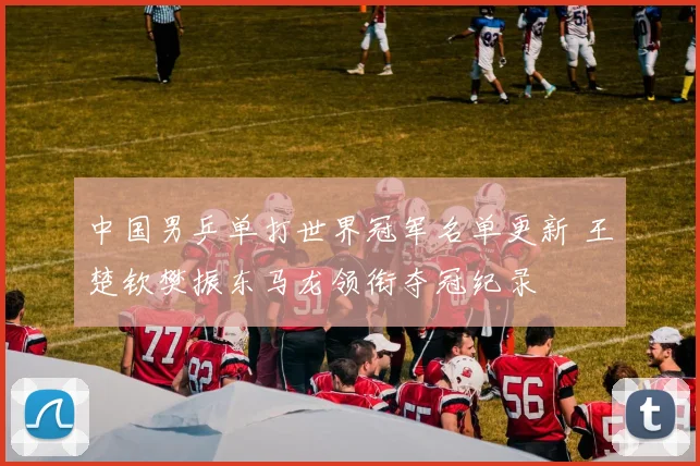 中国男乒单打世界冠军名单更新 王楚钦樊振东马龙领衔夺冠纪录