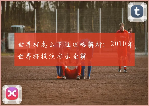世界杯怎么下注攻略解析:2010年世界杯投注方法全解
