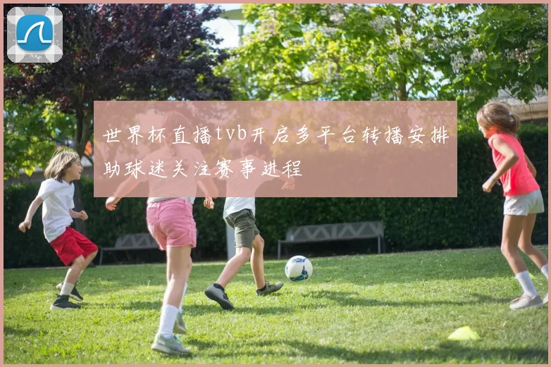 世界杯直播tvb开启多平台转播安排助球迷关注赛事进程